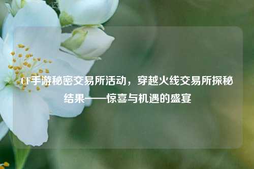 CF手游秘密交易所活动,穿越火线交易所探秘结果——惊喜与机遇的盛宴