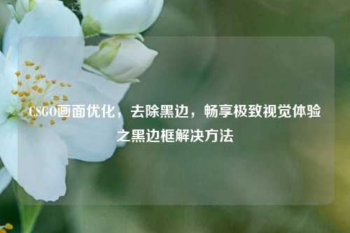 CSGO画面优化，去除黑边，畅享极致视觉体验之黑边框解决方法