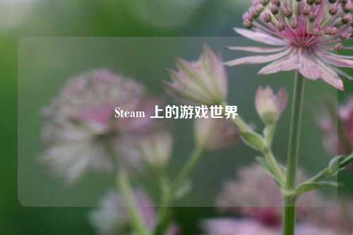 Steam 上的游戏世界