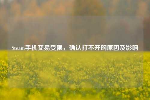 Steam手机交易受限,确认打不开的原因及影响