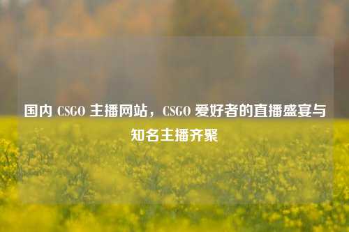 国内 CSGO 主播网站,CSGO 爱好者的直播盛宴与知名主播齐聚