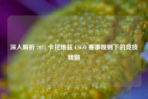 深入解析 2021 卡托维兹 CSGO 赛事规则下的竞技精髓