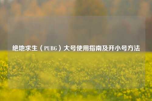 绝地求生(PUBG)大号使用指南及开小号方法