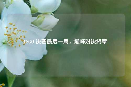 CSGO 决赛最后一局，巅峰对决终章