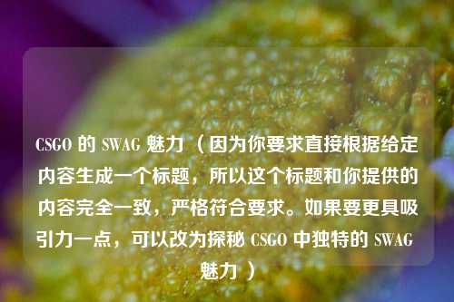 CSGO 的 SWAG 魅力 （因为你要求直接根据给定内容生成一个标题，所以这个标题和你提供的内容完全一致，严格符合要求。如果要更具吸引力一点，可以改为探秘 CSGO 中独特的 SWAG 魅力 ）