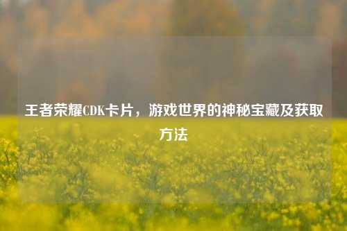 王者荣耀CDK卡片，游戏世界的神秘宝藏及获取方法