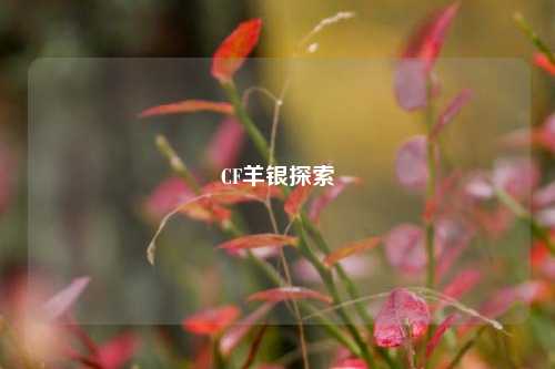 CF羊银探索