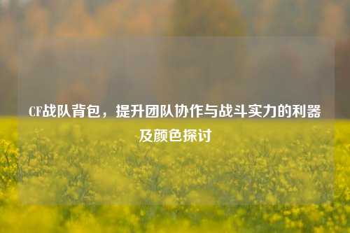 CF战队背包，提升团队协作与战斗实力的利器及颜色探讨
