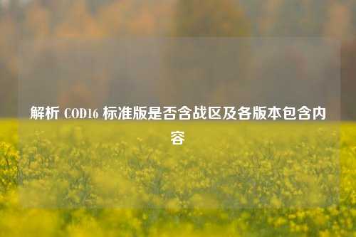 解析 COD16 标准版是否含战区及各版本包含内容