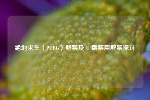 绝地求生(PUBG)解禁及 U 盘禁用解禁探讨