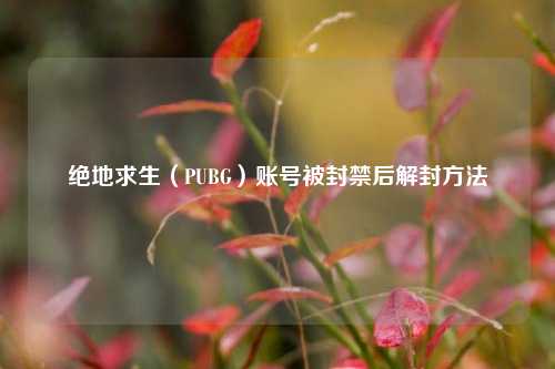 绝地求生（PUBG）账号被封禁后解封方法