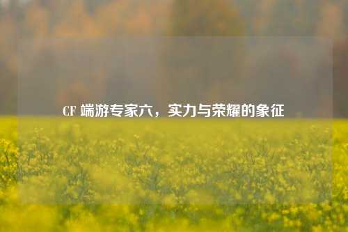 CF 端游专家六，实力与荣耀的象征