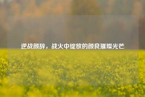 逆战颜辞,战火中绽放的颜良璀璨光芒