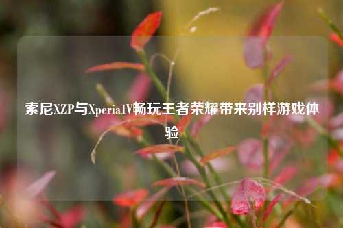 索尼XZP与Xperia1V畅玩王者荣耀带来别样游戏体验