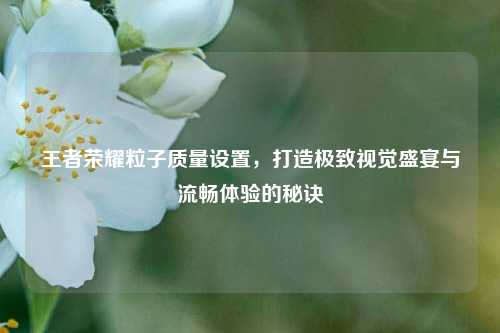 王者荣耀粒子质量设置,打造极致视觉盛宴与流畅体验的秘诀