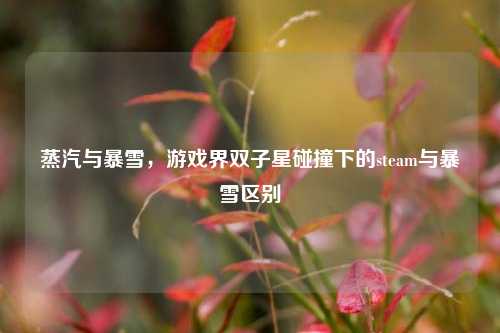 蒸汽与暴雪，游戏界双子星碰撞下的steam与暴雪区别