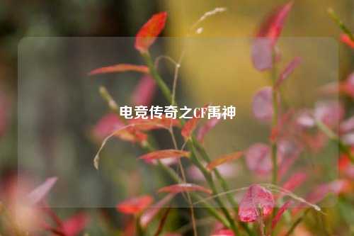 电竞传奇之CF禹神