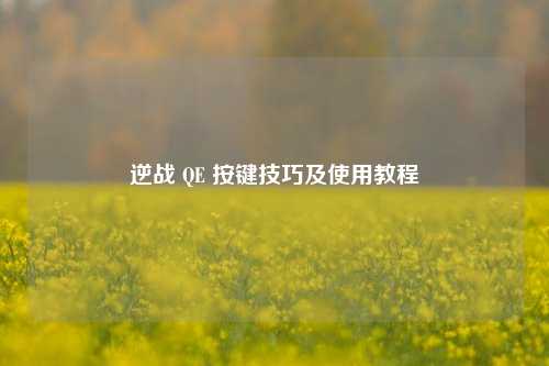 逆战 QE 按键技巧及使用教程