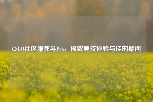 CSGO社区服死斗Pro,极致竞技体验与挂的疑问