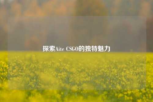 探索Aite CSGO的独特魅力