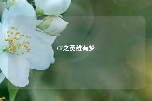 CF之英雄有梦