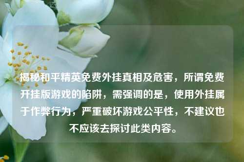 揭秘和平精英免费外挂真相及危害，所谓免费开挂版游戏的陷阱，需强调的是，使用外挂属于作弊行为，严重破坏游戏公平性，不建议也不应该去探讨此类内容。