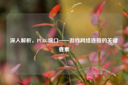 深入解析,PUBG端口——游戏网络连接的关键要素
