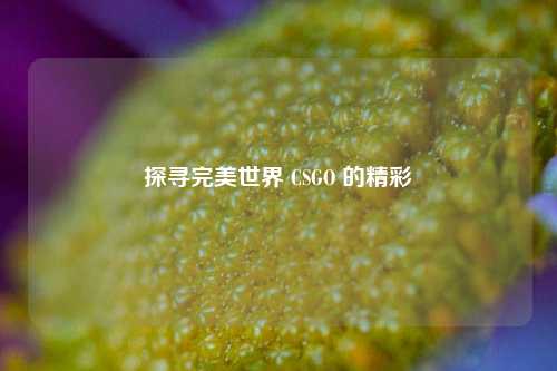 探寻完美世界 CSGO 的精彩
