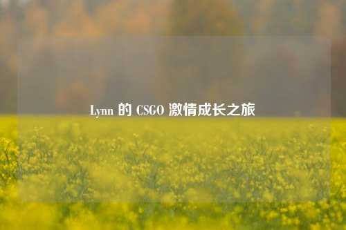 Lynn 的 CSGO 激情成长之旅