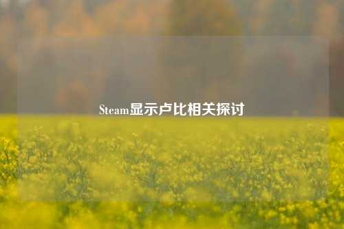 Steam显示卢比相关探讨
