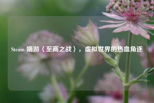 Steam 端游〈至高之战〉，虚拟世界的热血角逐