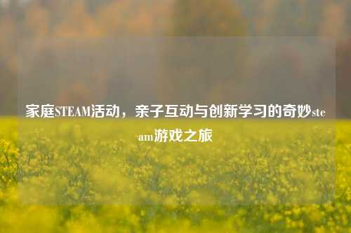 家庭STEAM活动,亲子互动与创新学习的奇妙steam游戏之旅