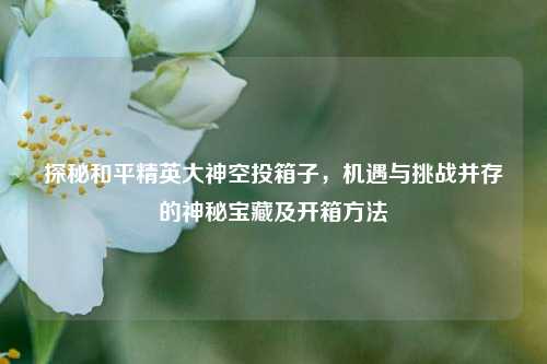 探秘和平精英大神空投箱子,机遇与挑战并存的神秘宝藏及开箱方法