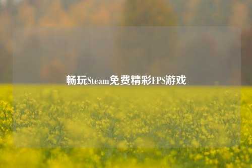 畅玩Steam免费精彩FPS游戏