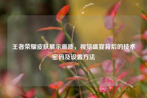 王者荣耀皮肤展示画质,视觉盛宴背后的技术密码及设置方法