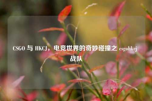 CSGO 与 HKCJ,电竞世界的奇妙碰撞之 csgohkcj 战队