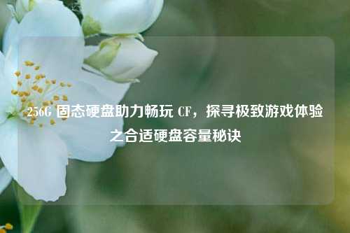 256G 固态硬盘助力畅玩 CF，探寻极致游戏体验之合适硬盘容量秘诀