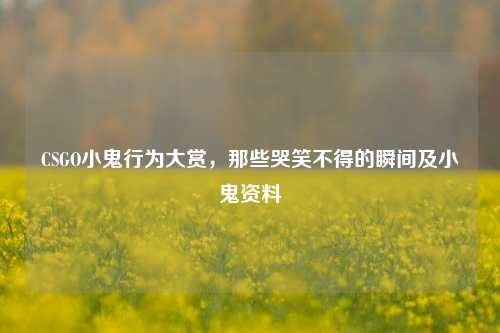 CSGO小鬼行为大赏,那些哭笑不得的瞬间及小鬼资料