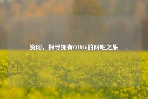 资阳,探寻拥有COD16的网吧之旅