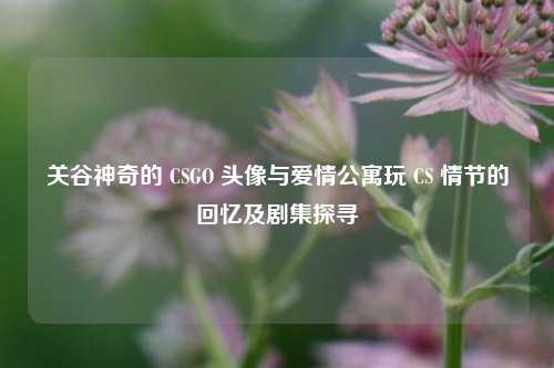 关谷神奇的 CSGO 头像与爱情公寓玩 CS 情节的回忆及剧集探寻