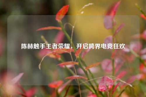 陈赫触手王者荣耀，开启跨界电竞狂欢