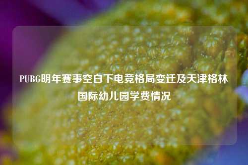 PUBG明年赛事空白下电竞格局变迁及天津格林国际幼儿园学费情况