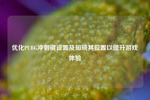 优化PUBG冲刺键设置及知晓其位置以提升游戏体验
