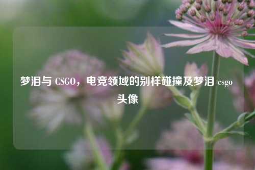 梦泪与 CSGO，电竞领域的别样碰撞及梦泪 csgo 头像