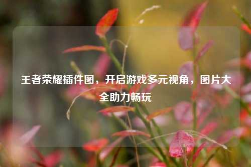 王者荣耀插件图,开启游戏多元视角,图片大全助力畅玩