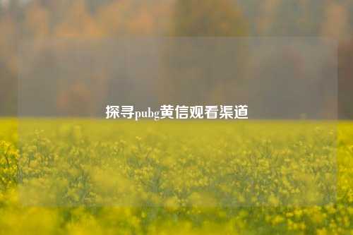 探寻pubg黄信观看渠道