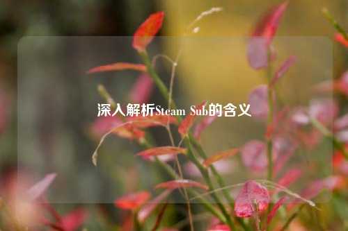 深入解析Steam Sub的含义