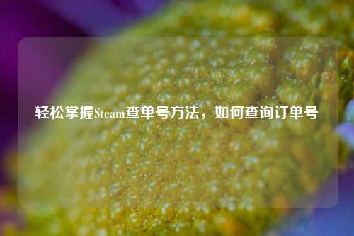 轻松掌握Steam查单号方法，如何查询订单号