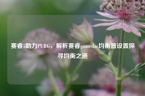 赛睿5助力PUBG，解析赛睿gamedac均衡器设置探寻均衡之道