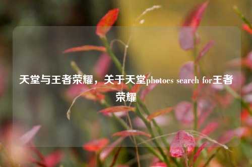 天堂与王者荣耀，关于天堂photoes search for王者荣耀